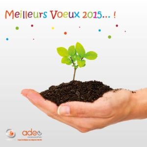 meilleurs voeux 2015 agence adeo communication